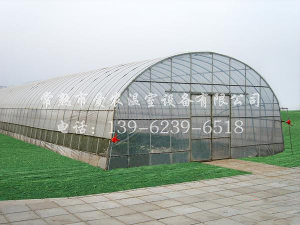 123